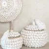 Boîte de rangement Shell Himya