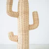 Rotan Cactus Pendek