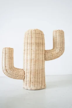 Rotan Cactus Pendek