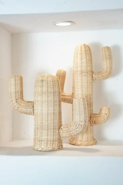 Rotan Cactus Pendek