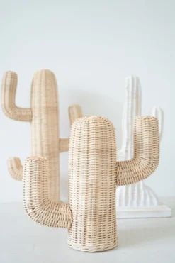 Rotan Cactus Pendek