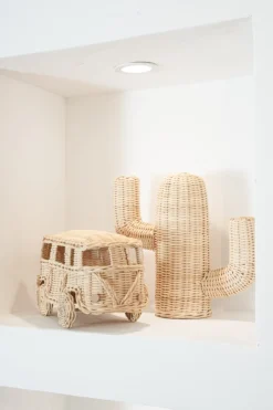 Rotan Cactus Pendek